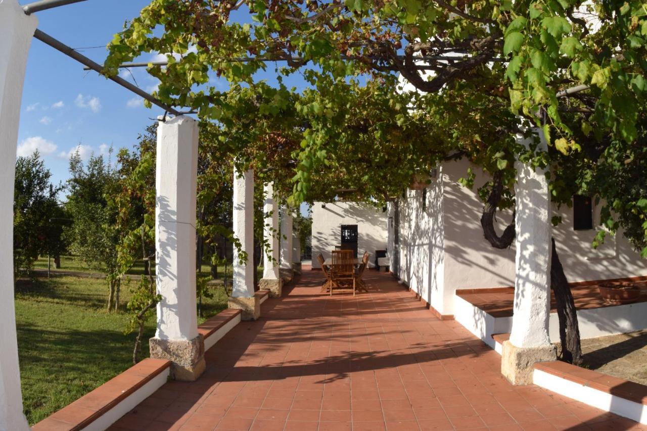 La Giara House ,Near Gallipoli アレーツィオ エクステリア 写真